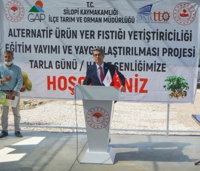 Silopi’de Yer Fıstığının Markalaşma Serüveni Başlıyor