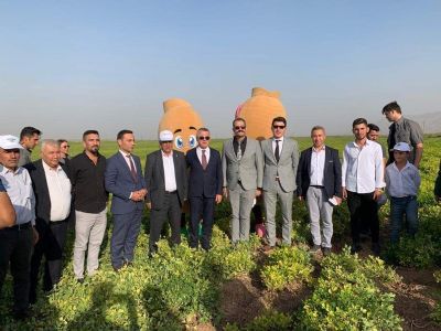 Yer Fıstığı Hasat Şenliği Silopi’de Gerçekleştirildi