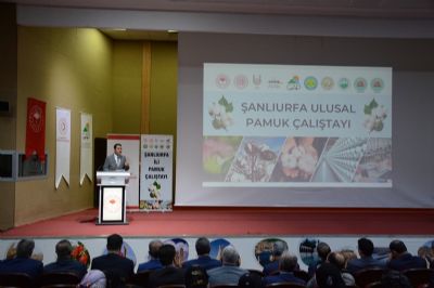 Ulusal Pamuk Çalıştayı Şanlıurfa’da Gerçekleştirildi