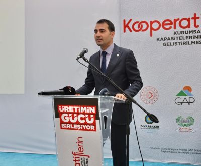 GAP İdaresi Destekledi, Kadınların Gücü Birleşti