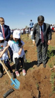 GAP GELECEĞİMİZDİR Projesi Kapsamında Fidan Dikim ve Uçurtma Şenliği Düzenlendi