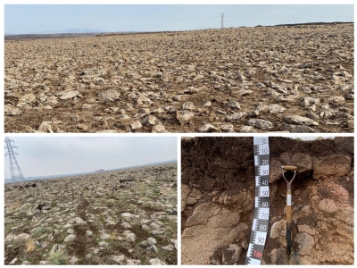 Güneydoğu Anadolu Bölgesi’nde Tarımsal Üretim Potansiyelini Artıracak Önemli Bir Adım Daha Atılıyor