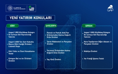 2026 Yılı Yerel Kalkınma Hamlesi Teşvik Programı GAP Bölgesi Yatırım Konuları Yayımlandı