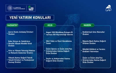 2026 Yılı Yerel Kalkınma Hamlesi Teşvik Programı GAP Bölgesi Yatırım Konuları Yayımlandı