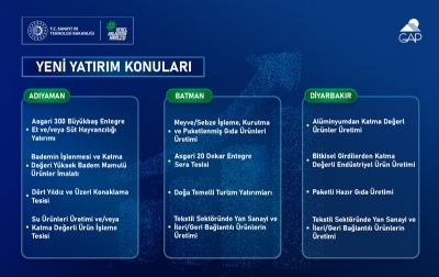 2026 Yılı Yerel Kalkınma Hamlesi Teşvik Programı GAP Bölgesi Yatırım Konuları Yayımlandı
