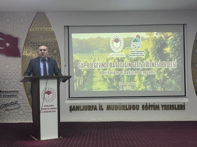 GAP Bölgesi'nde Modern Yöntemlerle Bağcılık Gelişiyor