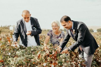 Pamuk Üreticileri ve Sektör Temsilcileri 2. İyi Pamuk Panel ve Tarla Gününde Bir Araya Geldi