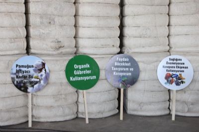 Pamuk Üreticileri ve Sektör Temsilcileri 2. İyi Pamuk Panel ve Tarla Gününde Bir Araya Geldi