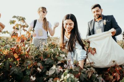 Pamuk Üreticileri ve Sektör Temsilcileri 2. İyi Pamuk Panel ve Tarla Gününde Bir Araya Geldi