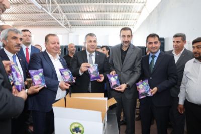 GAP İdaresinden Kilis’te Üzüm Üretim Zincirinin Güçlendirilmesine Destek