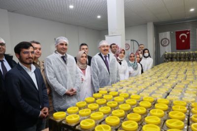 GAP İdaresinden Siirt’te Tayfi Üzüm Yaprağı Üreten Kadınlara Destek