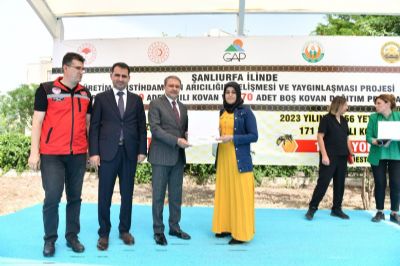 Şanlıurfa'da Arı Yetiştiriciliğine Destek