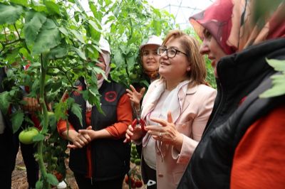 GAP İdaresinden Yavuzeli'nde Seracılık Faaliyetlerine Destek