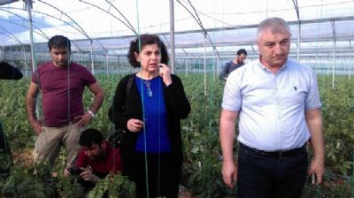 GAP Bölgesi Yayım Elemanlarına 