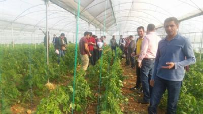 GAP Bölgesi Yayım Elemanlarına 