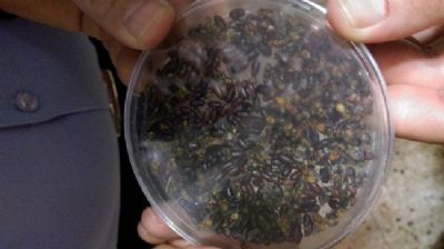 GAP Bölgesi Yayım Elemanlarına 