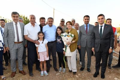 Şanlıurfa'nın Hilvan İlçesinde Badem Üretiminde Verim Artıyor