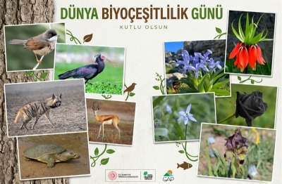 22 Mayıs Dünya Biyoçeşitlilik Günü Kutlu Olsun