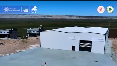 Araban Sarımsağı Katma Değerle Buluşuyor