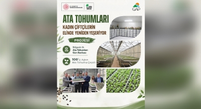 GAP Bölgesi'nin Ata Tohumları Geleceğe Taşınıyor