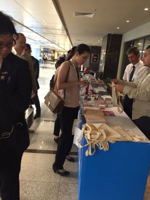 Mezopotamya; UNESCO Dünya Miras Komitesi 40. Toplantısı’nda