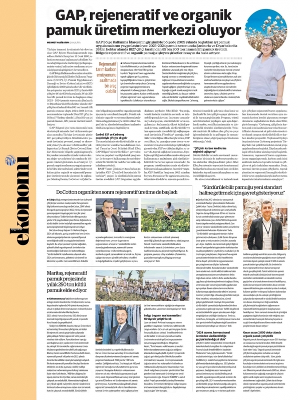 GAP İdaresi Başkanlığı Öncülüğünde Pamuk Üretiminde Verim Artıyor