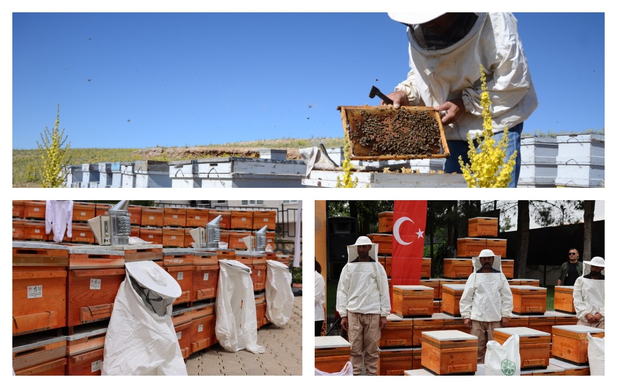 Arıcılık