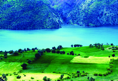Siirt