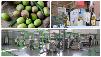 Kilis Zeytini ve Zeytinyağı