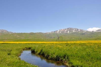 Şırnak