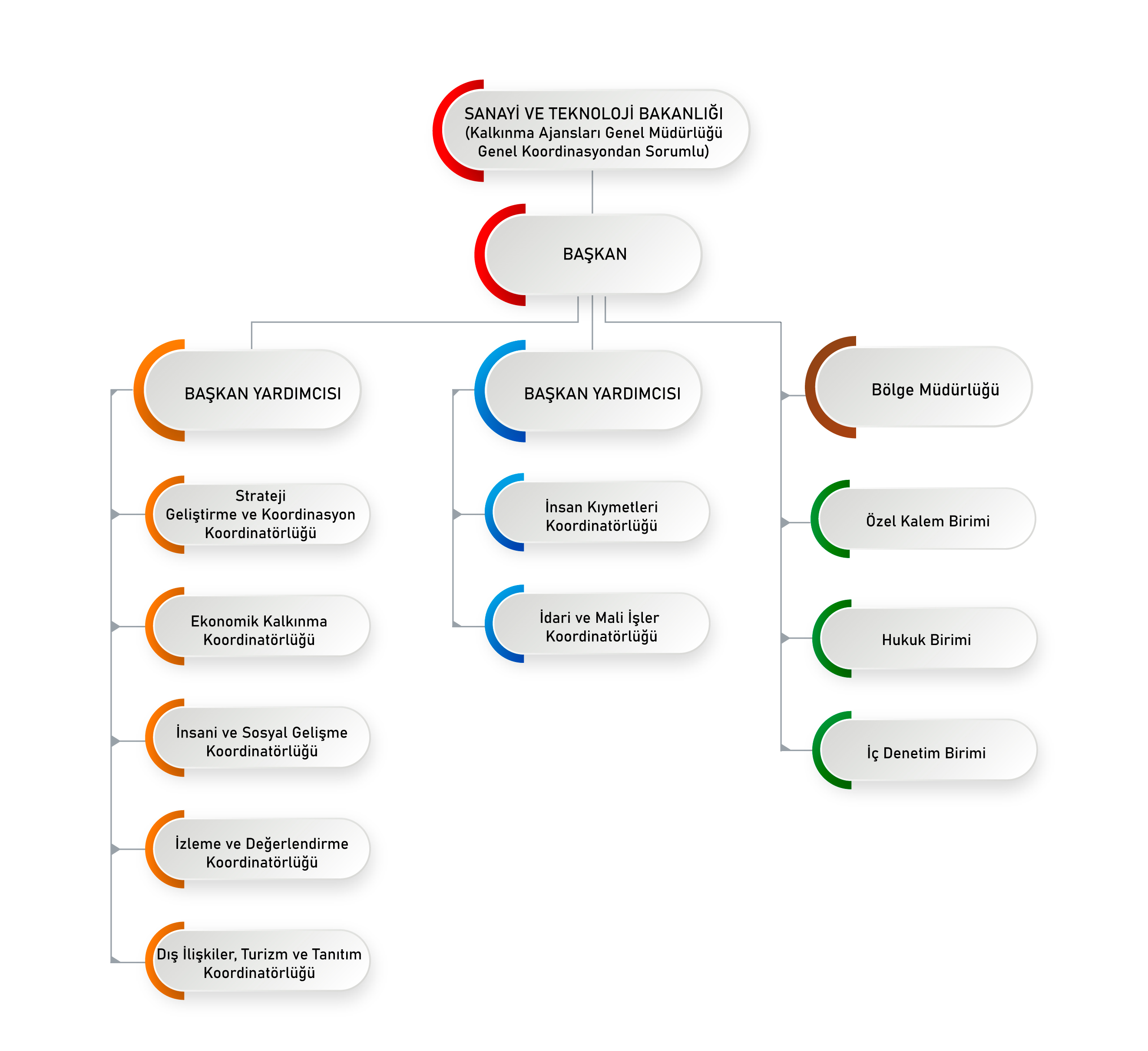 Organizasyon Şeması 