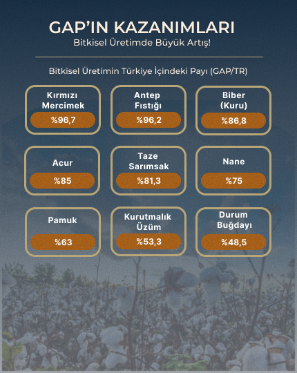 GAP'ın Kazanımları