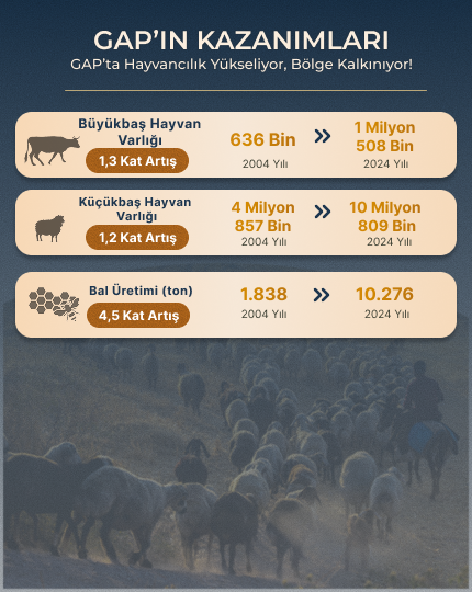 GAP'ın Kazanımları