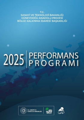 2025 Performans Programı