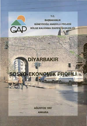 Diyarbakır Sosyo-Ekonomik Profili