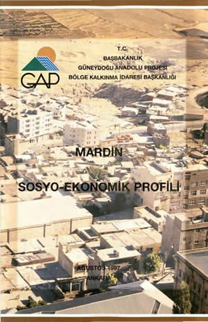 Mardin Sosyo-Ekonomik Profili