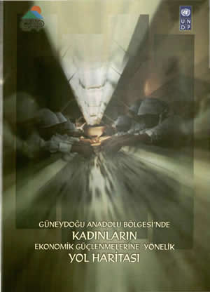 Güneydoğu Anadolu Bölgesi’nde Kadınların Ekonomik Güçlenmelerine Yönelik Yol Haritası