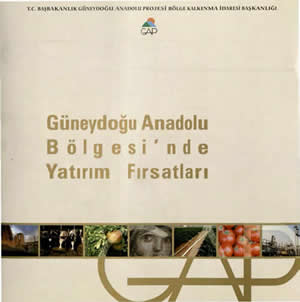 Güneydoğu Anadolu Bölgesinde Yatırım Fırsatları