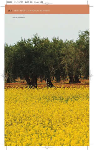 Güneydoğu Anadolu Rehberi (Kilis)