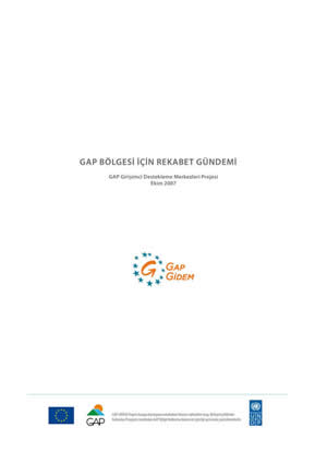 GAP Bölgesi İçin Rekabet Gündemi
