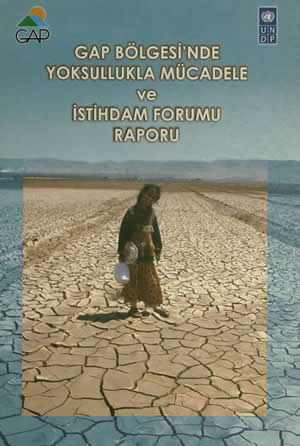 GAP Bölgesi’nde Yoksullukla Mücadele ve İstihdam Formu Raporu