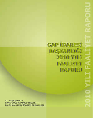2010 Yılı Faaliyet Raporu