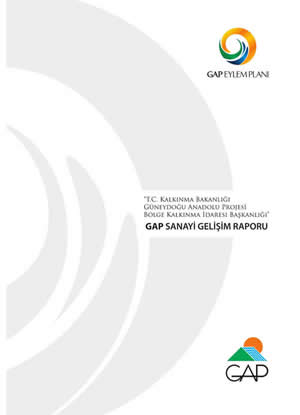 GAP Sanayi Gelişim Raporu