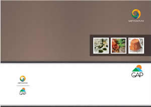 South-Eastern Anatolian Cuisine