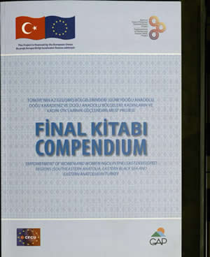 Kadınların ve Kadın STK’larının Güçlendirilmesi Projesi Final Kitabı/Compendium