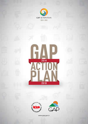 GAP Action Plan