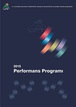2015 Performans Programı