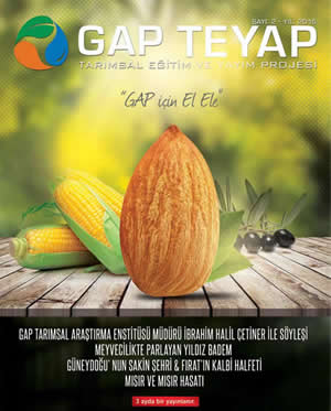 GAP TEYAP Dergisi Ekım 2015