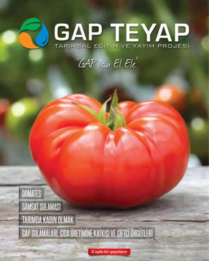 GAP TEYAP Dergisi Nisan 2016