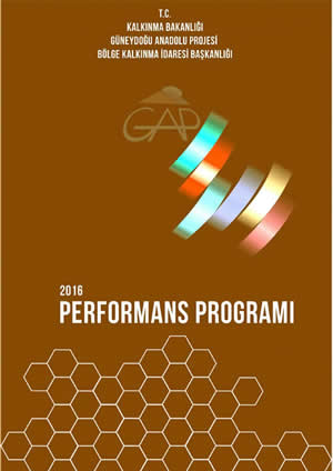 2016 Performans Programı